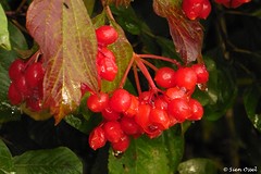03 Oktober 2016