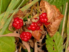 07 Oktober 2016