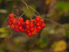 07 Oktober 2016