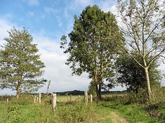07 Oktober 2016