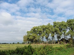 07 Oktober 2016
