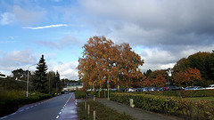 19 Oktober 2016