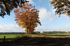 29 Oktober 2016