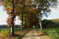 29 Oktober 2016