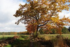 29 Oktober 2016