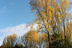 30 Oktober 2016