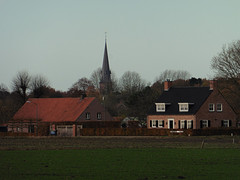 22 November 2016