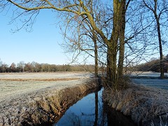 04 December 2016