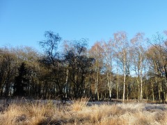 04 December 2016