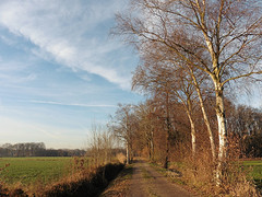 06 December 2016