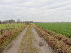 14 December 2016