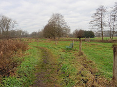 14 December 2016