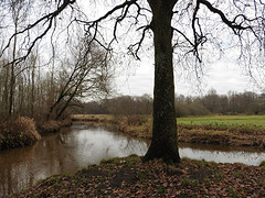 14 December 2016