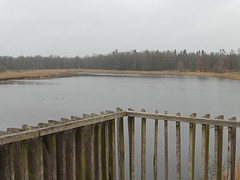 18 December 2016