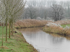 01 Januari 2017