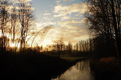 05 Januari 2017