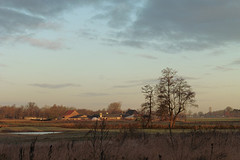 05 Januari 2017
