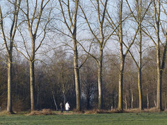 06 Januari 2017