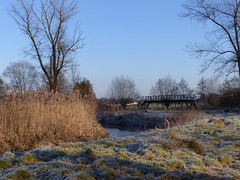 06 Januari 2017