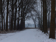 07 Januari 2017