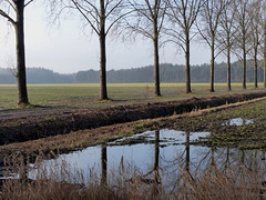 10 Januari 2017
