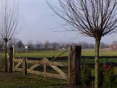 10 Januari 2017
