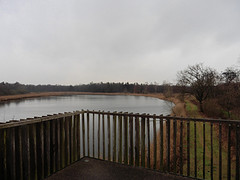 11 Januari 2017