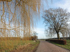 12 Januari 2017