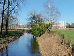 13 Januari 2017