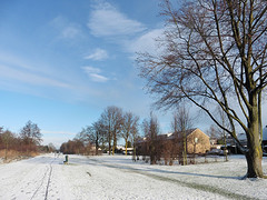 14 Januari 2017