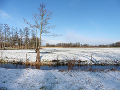 14 Januari 2017
