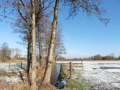 14 Januari 2017