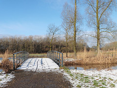 14 Januari 2017