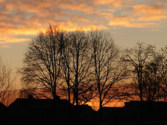 19 Januari 2017