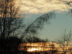 19 Januari 2017