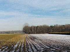 20 Januari 2017