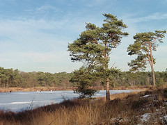 20 Januari 2017