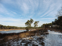 20 Januari 2017