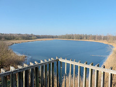 26 Januari 2017