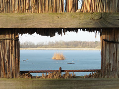 26 Januari 2017