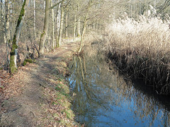 26 Januari 2017