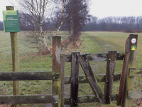 30 Januari 2017