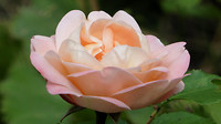 11-07-2017...2