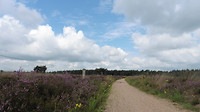 11-08-2017...2
