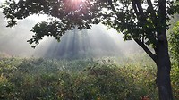 29-08-2017...vroeg 1