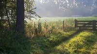 29-08-2017 ..vroeg 3