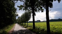 31-08-2017...3
