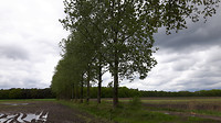 Riethoven - Westerhoven 11 km