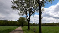Riethoven - Westerhoven 11 km nr 4