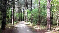 Riethoven - Westerhoven 11 km nr 6